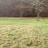Mobile Home Lot for Sale: WV, BRANCHLAND - Land for sale., Branchland, WV