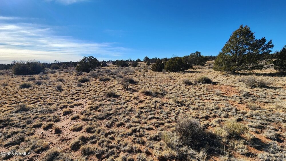 Photo of Mobile Home Lot
