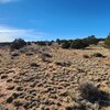 Photo of Mobile Home Lot