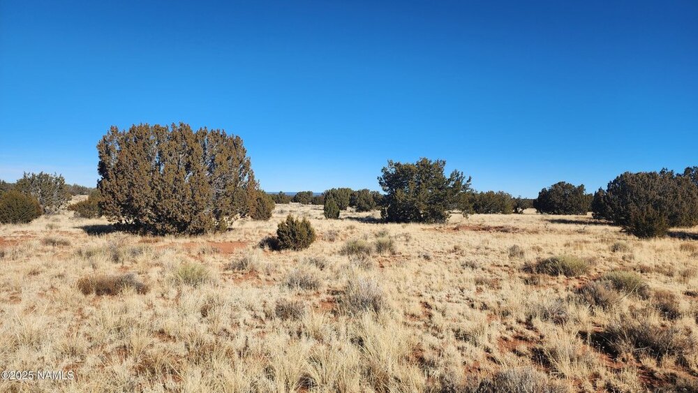 Photo of Mobile Home Lot