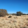 Photo of Mobile Home Lot