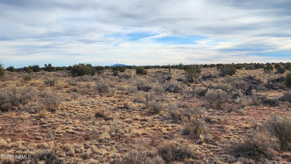 Photo of Mobile Home Lot