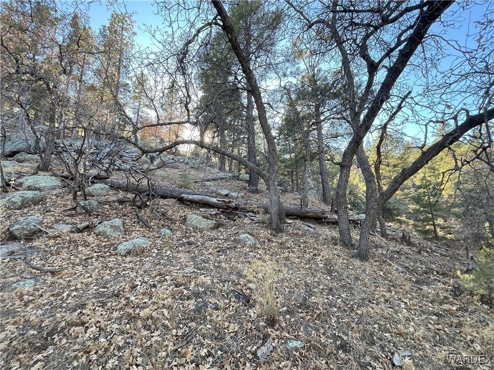 Photo of Mobile Home Lot