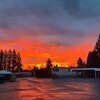 Mobile Home for Sale: Mobile Home, Mobile/Manufactured - Cornelius, OR, Cornelius, OR