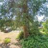 Mobile Home for Sale: 3 Bed 1 Bath 1998 Mobile Home