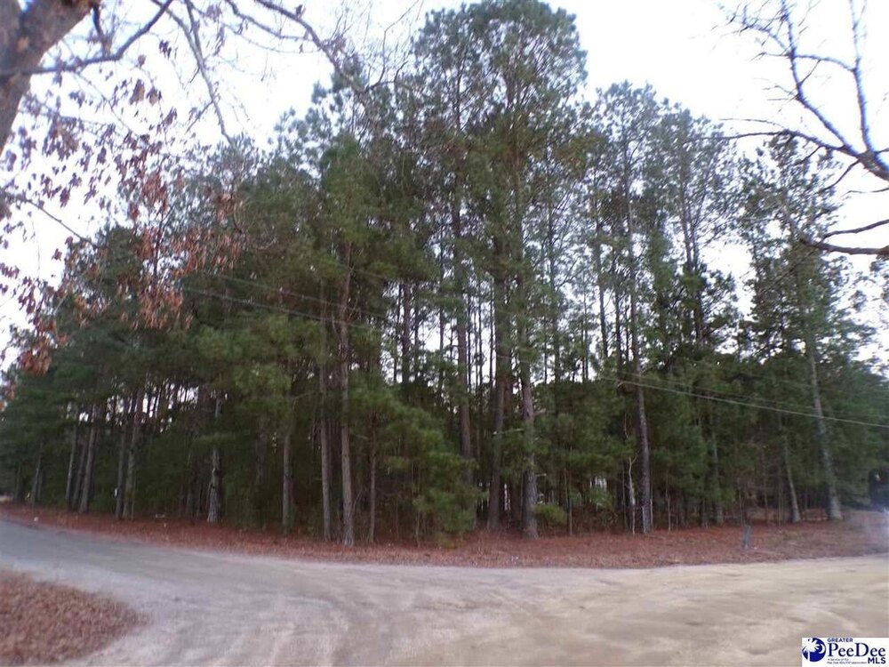 Photo of Mobile Home Lot