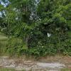 Mobile Home for Sale: 3 Bed 2 Bath 2003 Mobile Home