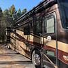 RV for Sale: 2012 ALLEGRO BUS 43 QRP