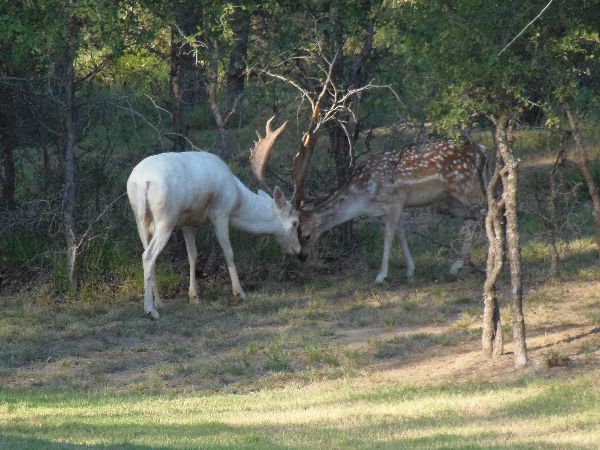 Photo of RV Park/Campground