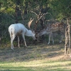 Photo of RV Park/Campground