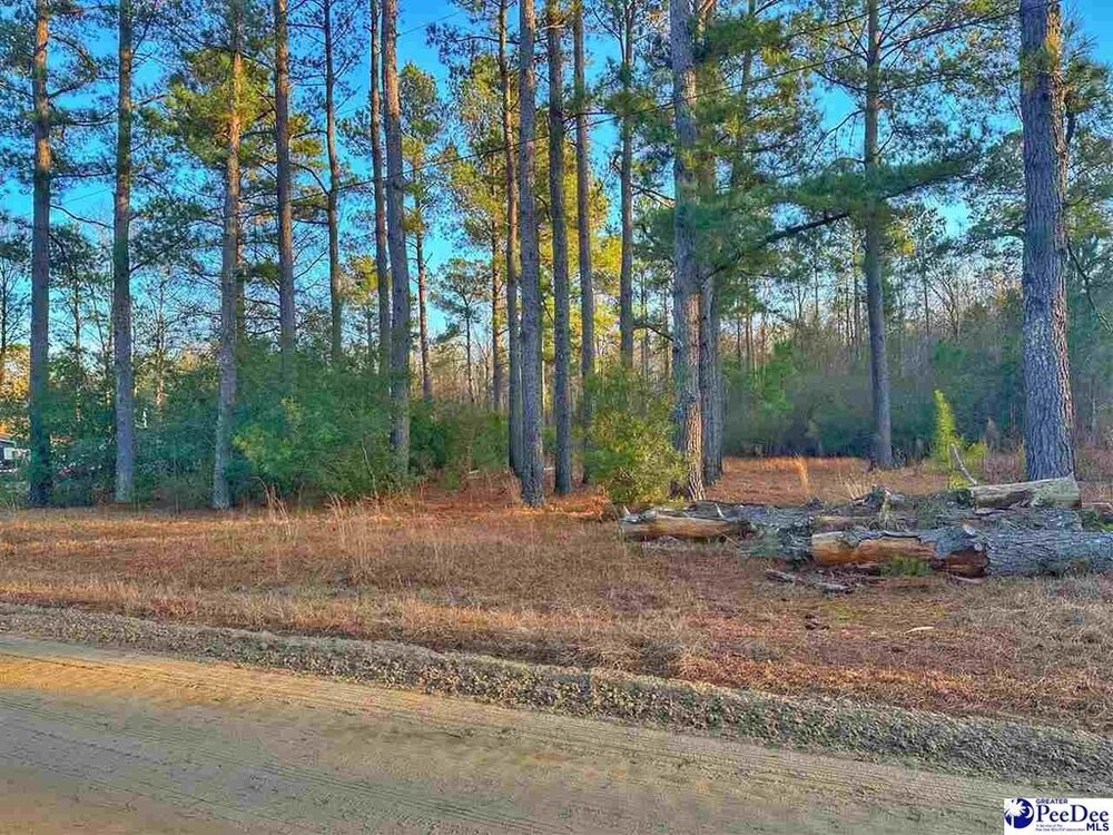 Photo of Mobile Home Lot