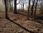 Photo of Mobile Home Lot