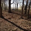 Photo of Mobile Home Lot