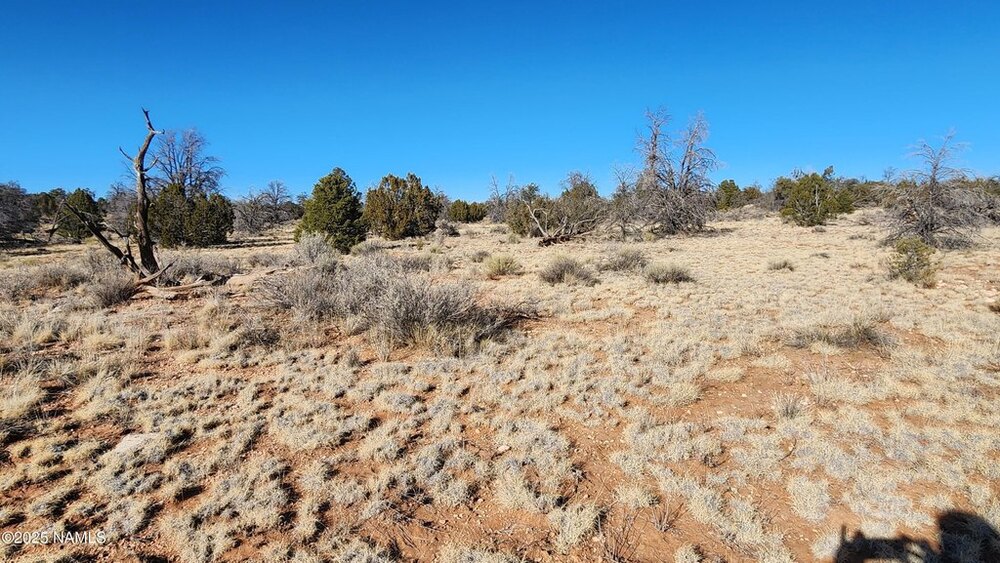 Photo of Mobile Home Lot