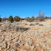 Photo of Mobile Home Lot