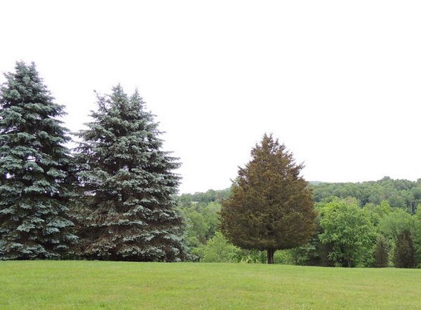 Photo of RV Park/Campground