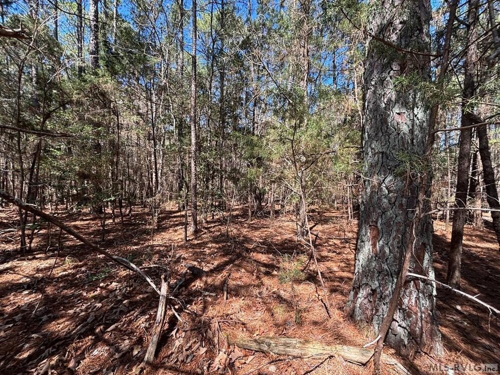 Photo of Mobile Home Lot