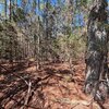 Photo of Mobile Home Lot