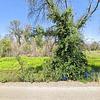 Mobile Home for Sale: 3 Bed 2 Bath 1989 Mobile Home