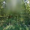 Mobile Home for Sale: 3 Bed 2 Bath 1996 Mobile Home