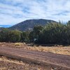 Photo of Mobile Home Lot