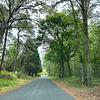 Mobile Home for Sale: 1999 Mobile Home