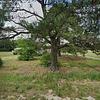 Mobile Home for Sale: 4 Bed 2 Bath 2020 Mobile Home