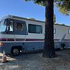 RV for Sale: 1995 ALLEGRO CLASS A