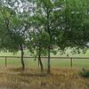 Mobile Home for Sale: 2002 Mobile Home