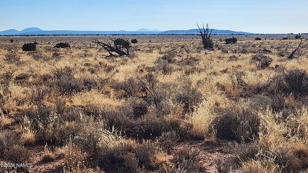 Photo of Mobile Home Lot