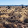 Photo of Mobile Home Lot