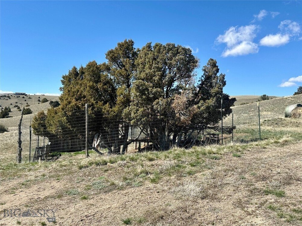 Photo of Mobile Home Lot