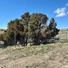 Photo of Mobile Home Lot