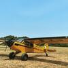Aircraft for Sale: 2020 AVIAT HUSKY A-1C-180