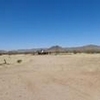 Photo of Mobile Home Lot