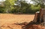 Photo of Mobile Home Lot