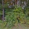 Mobile Home for Sale: 3 Bed 2 Bath 1989 Mobile Home