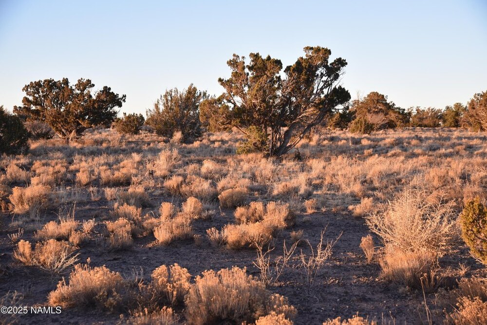 Photo of Mobile Home Lot
