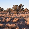 Photo of Mobile Home Lot
