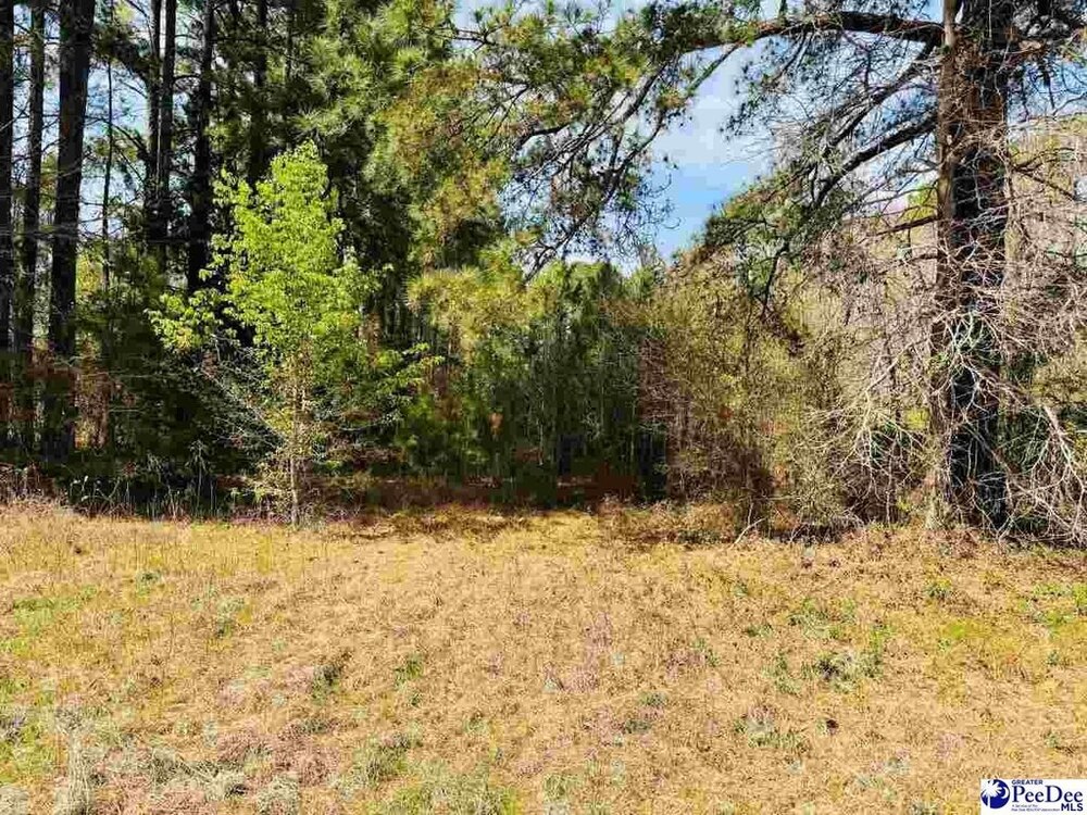 Photo of Mobile Home Lot