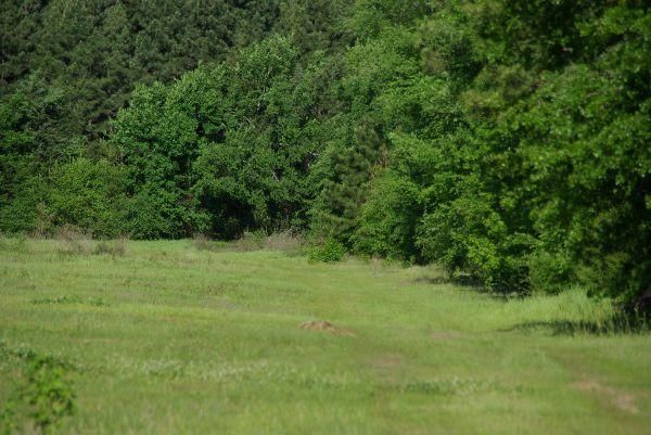 Photo of RV Park/Campground