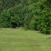 Photo of RV Park/Campground