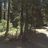 Mobile Home for Sale: 3 Bed 2 Bath 1993 Mobile Home