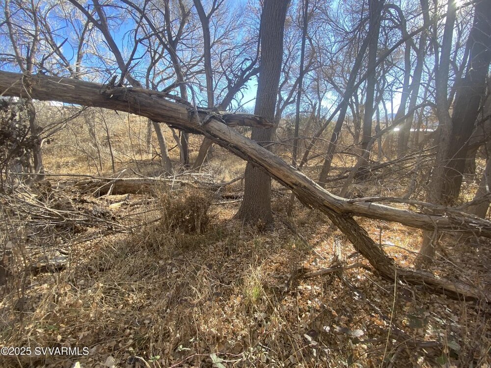 Photo of Mobile Home Lot