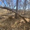 Photo of Mobile Home Lot