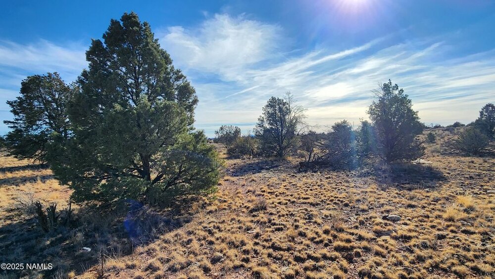 Photo of Mobile Home Lot