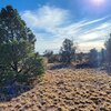 Photo of Mobile Home Lot