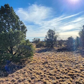 Photo of Mobile Home Lot