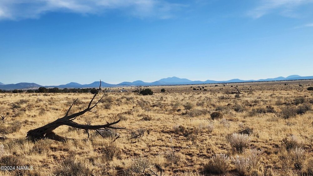 Photo of Mobile Home Lot