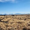 Photo of Mobile Home Lot